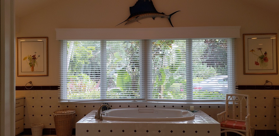 Master Bathroom Tub